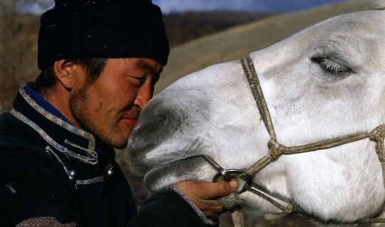 mongolia2