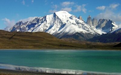 Trip Report: CHILE – Fiona’s Journey through Chile