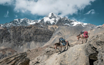 Client Report: NEPAL – Return to Mustang