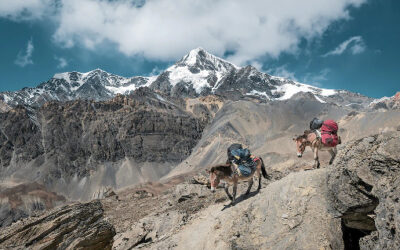 Client Report: NEPAL – Return to Mustang