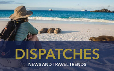 SEPTEMBER 2023 DISPATCHES