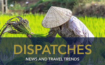 NOVEMBER 2023 DISPATCHES